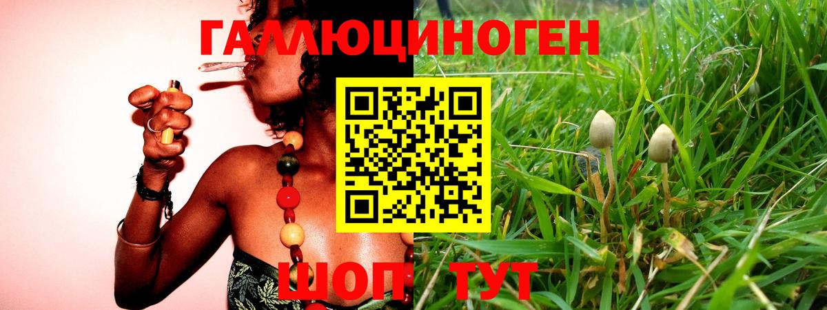 Псилоцибиновые грибы прущие грибы Армавир
