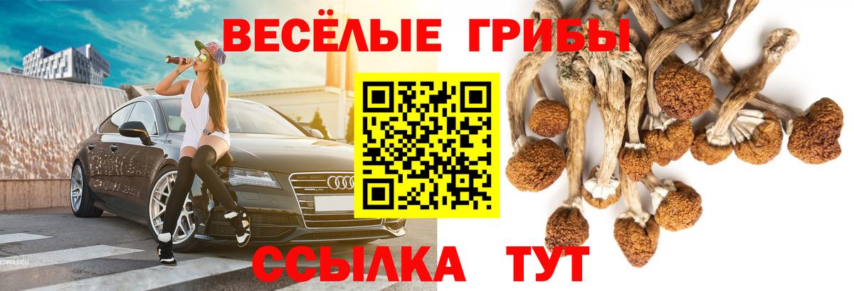 Гашиш  Каннабис  Армавир  Alpha PVP СОЛЬ кристаллы  Вход с VPN  LSD-25  Меф кристаллы  COCAIN  Купить наркоту  Кетамин 
